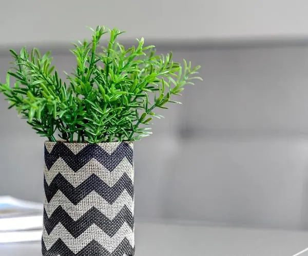 Luna & Terra Syros * エルムポリ